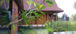 Mysha Guest House-Lombok